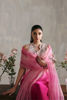 Picture of Liana - Shirt and Dupatta