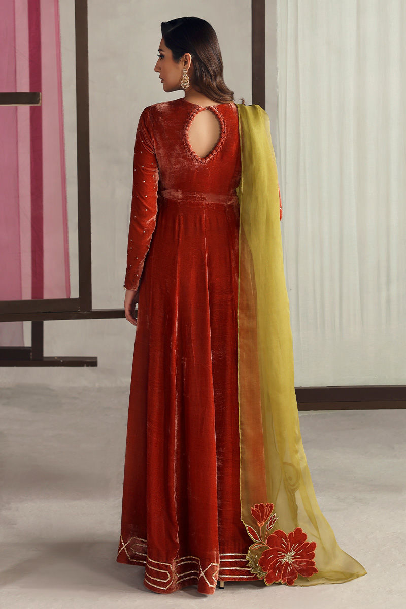 Picture of Lunara - Frock and Dupatta