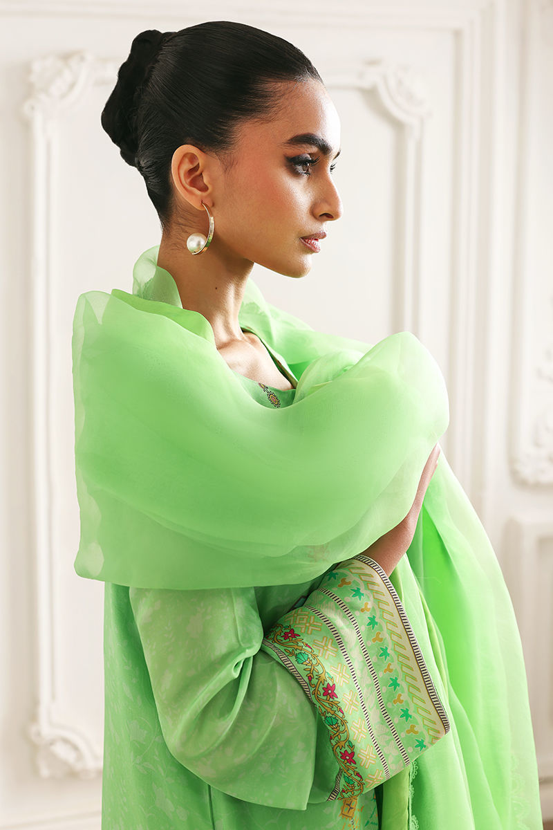 Picture of Riva (Shirt and Dupatta)