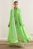 Picture of Riva (Shirt and Dupatta)